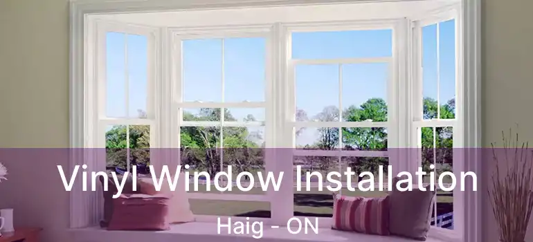  Vinyl Window Installation Haig - ON