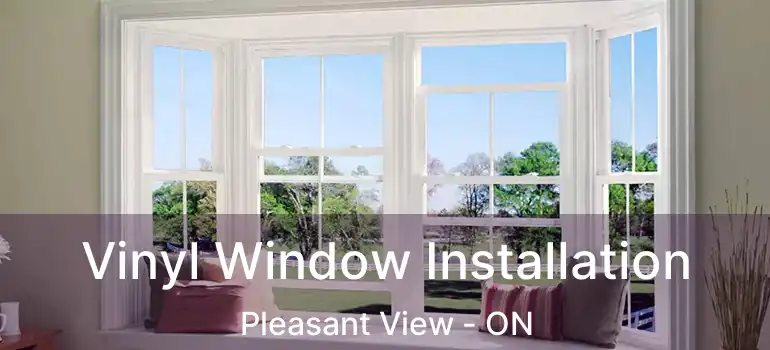 Vinyl Window Installation Pleasant View - ON