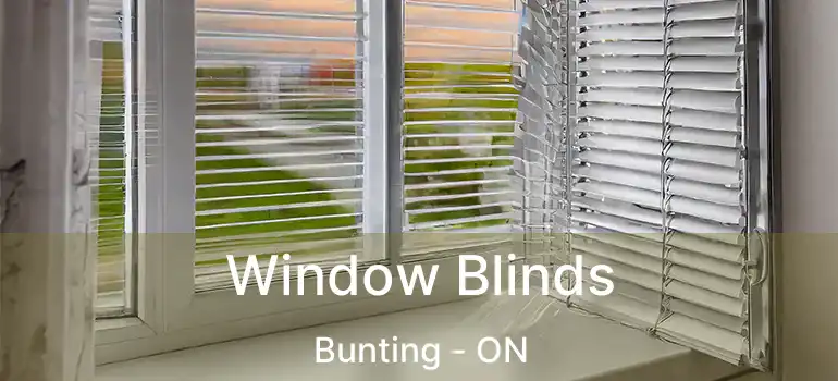  Window Blinds Bunting - ON