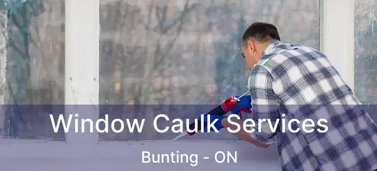 Window Caulk Services Bunting - ON