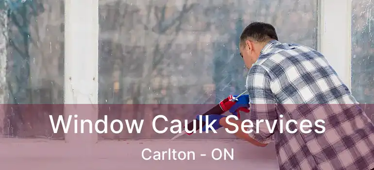  Window Caulk Services Carlton - ON