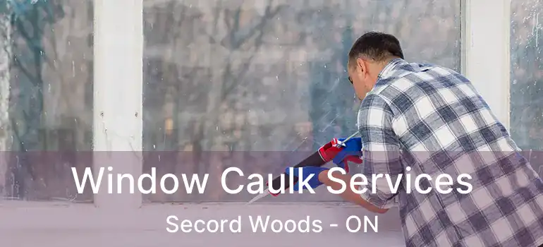 Window Caulk Services Secord Woods - ON