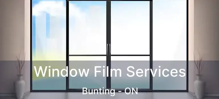  Window Film Services Bunting - ON