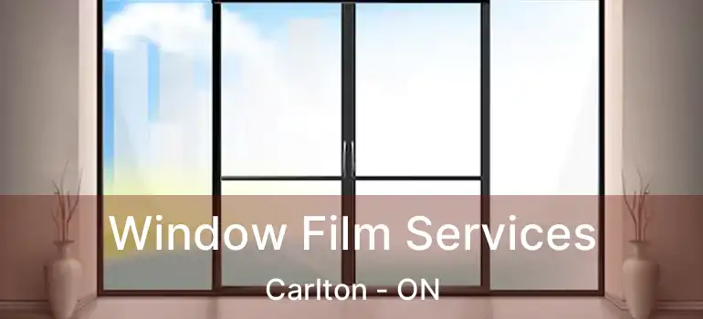 Window Film Services Carlton - ON