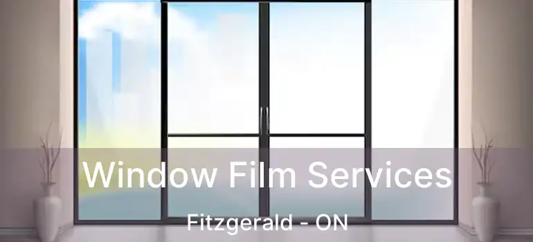 Window Film Services Fitzgerald - ON