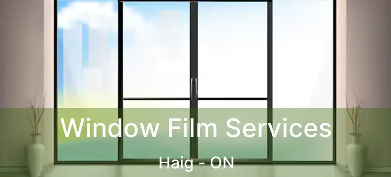  Window Film Services Haig - ON