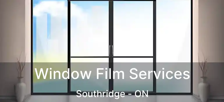  Window Film Services Southridge - ON