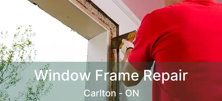 Window Frame Repair Carlton - ON