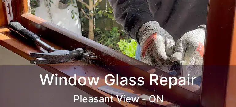  Window Glass Repair Pleasant View - ON