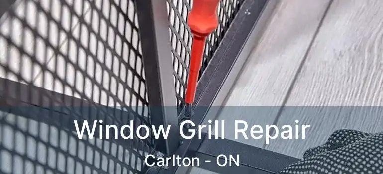Window Grill Repair Carlton - ON