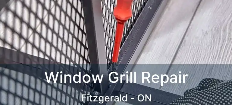 Window Grill Repair Fitzgerald - ON