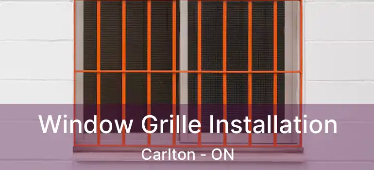  Window Grille Installation Carlton - ON