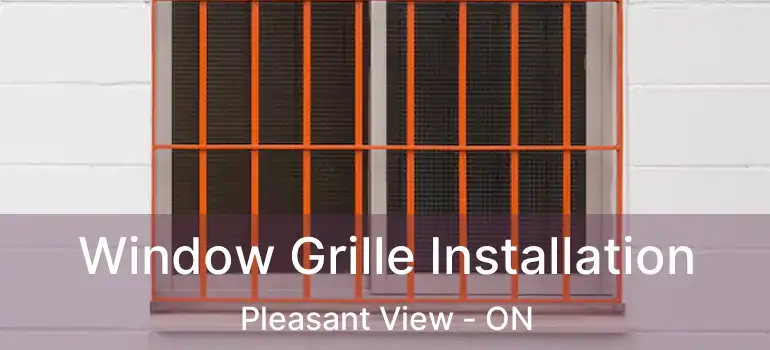  Window Grille Installation Pleasant View - ON