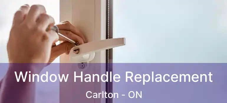  Window Handle Replacement Carlton - ON