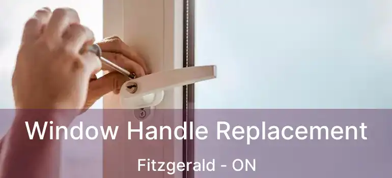  Window Handle Replacement Fitzgerald - ON