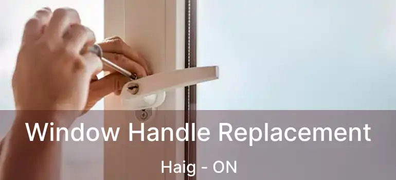 Window Handle Replacement Haig - ON