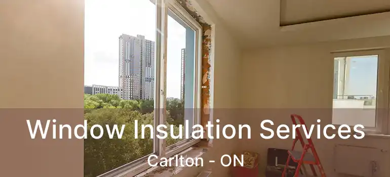  Window Insulation Services Carlton - ON