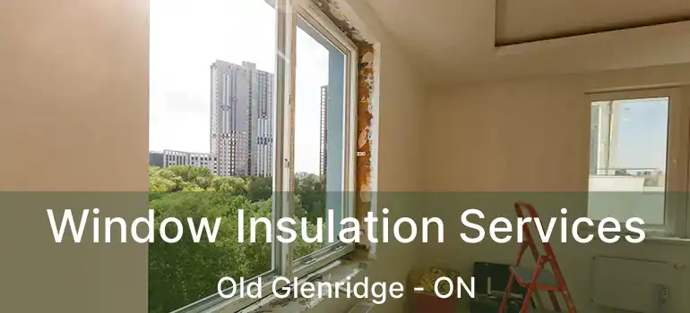 Window Insulation Services Old Glenridge - ON