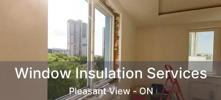  Window Insulation Services Pleasant View - ON