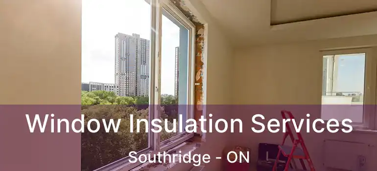  Window Insulation Services Southridge - ON