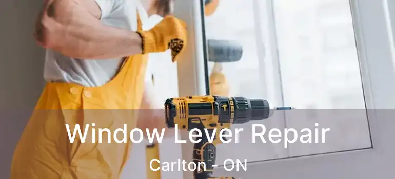 Window Lever Repair Carlton - ON