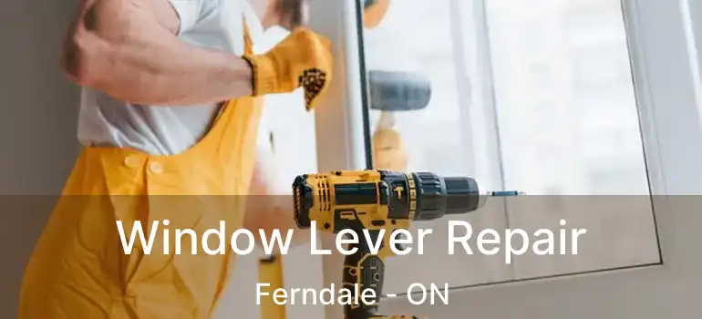  Window Lever Repair Ferndale - ON