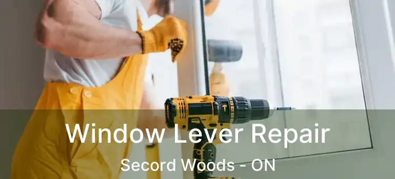 Window Lever Repair Secord Woods - ON
