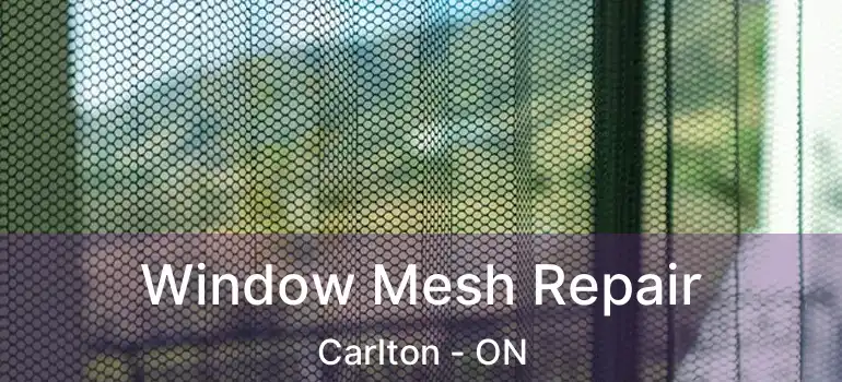  Window Mesh Repair Carlton - ON