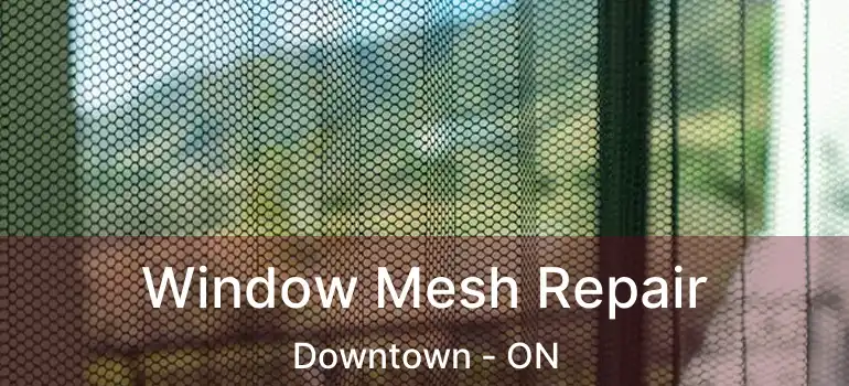 Window Mesh Repair Downtown - ON