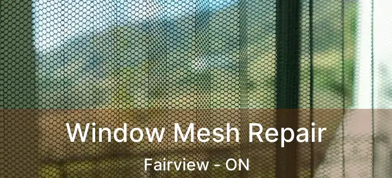  Window Mesh Repair Fairview - ON