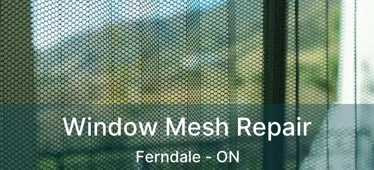  Window Mesh Repair Ferndale - ON
