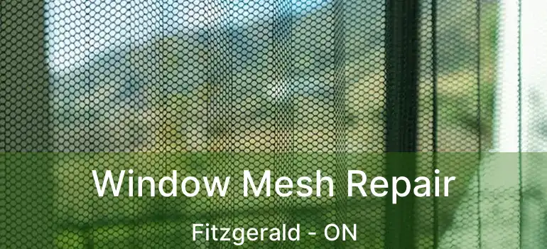  Window Mesh Repair Fitzgerald - ON