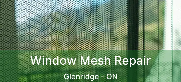 Window Mesh Repair Glenridge - ON