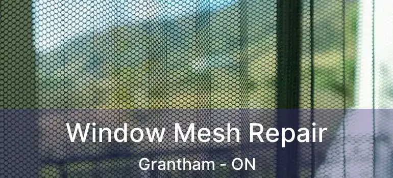  Window Mesh Repair Grantham - ON