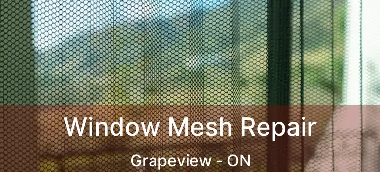 Window Mesh Repair Grapeview - ON