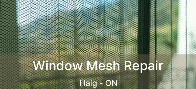  Window Mesh Repair Haig - ON