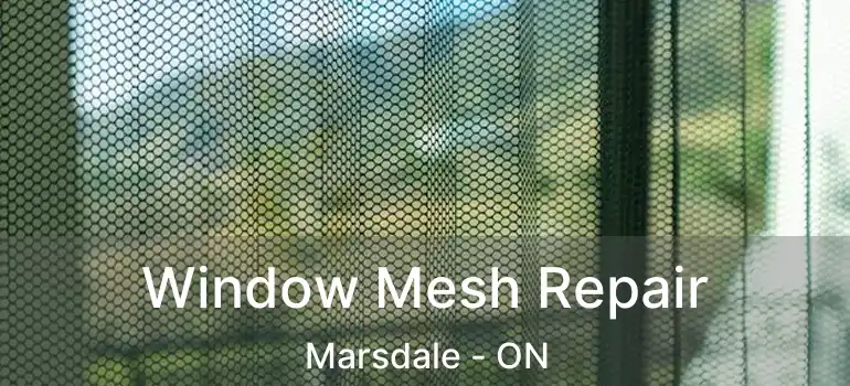 Window Mesh Repair Marsdale - ON