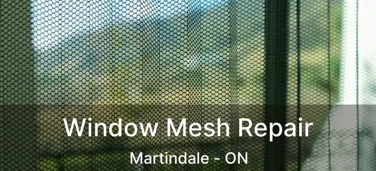 Window Mesh Repair Martindale - ON