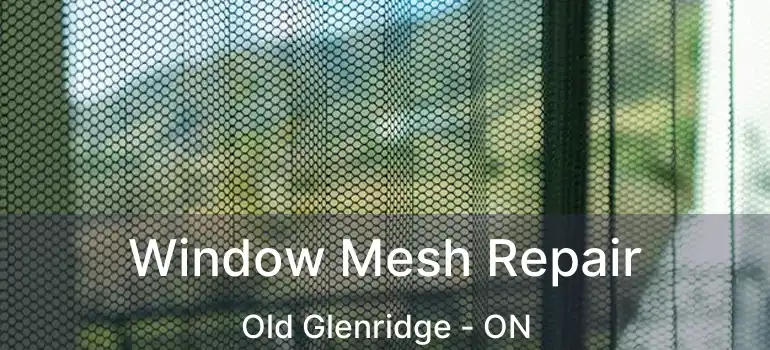 Window Mesh Repair Old Glenridge - ON