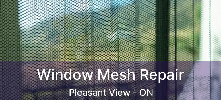 Window Mesh Repair Pleasant View - ON