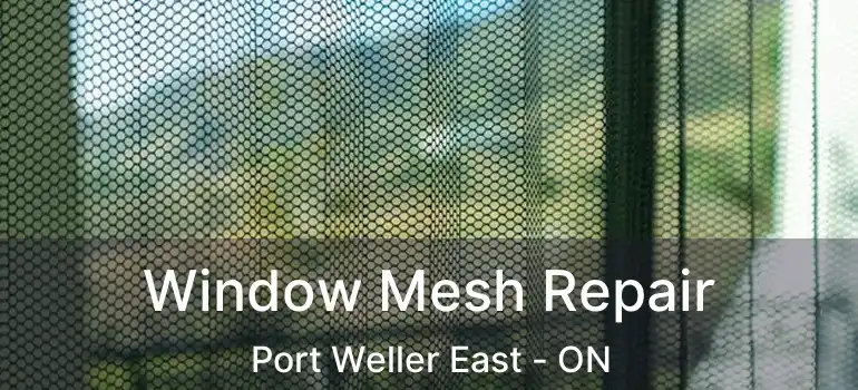  Window Mesh Repair Port Weller East - ON