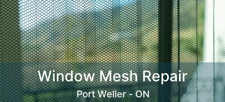  Window Mesh Repair Port Weller - ON