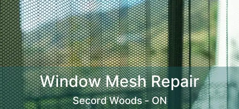 Window Mesh Repair Secord Woods - ON