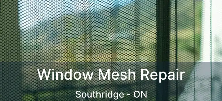  Window Mesh Repair Southridge - ON