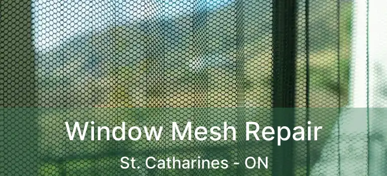  Window Mesh Repair St. Catharines - ON