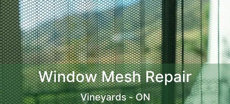  Window Mesh Repair Vineyards - ON