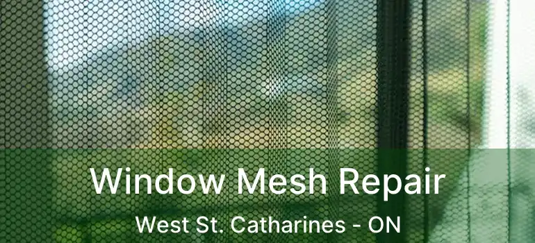  Window Mesh Repair West St. Catharines - ON