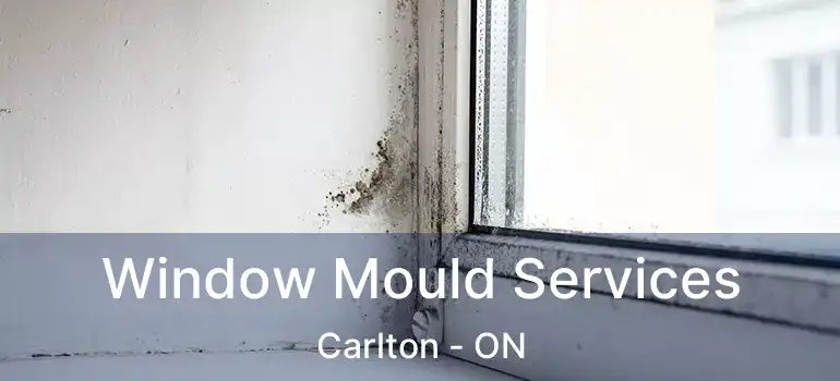 Window Mould Services Carlton - ON