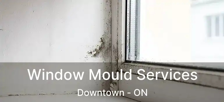 Window Mould Services Downtown - ON