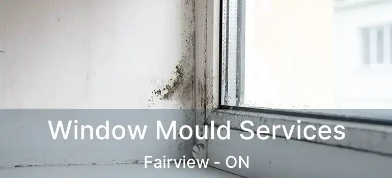  Window Mould Services Fairview - ON